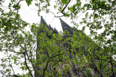 2025-05-Koeln-0520