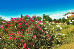 2025-07-Sommerurlaub-0020