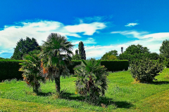 2025-07-Sommerurlaub-0030
